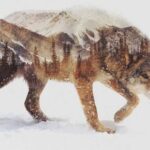 Чудовищным существом из сказаний инуитов.