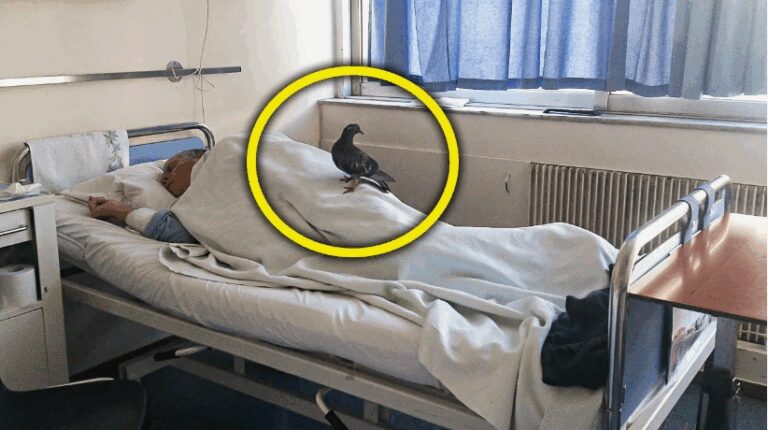 Суеверия и приметы в больницах: что стоит знать